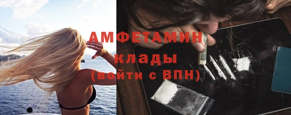 индика Богородск