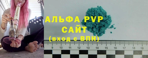 индика Богородск