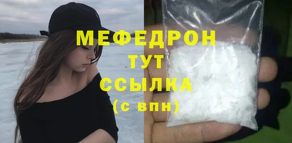индика Богородск