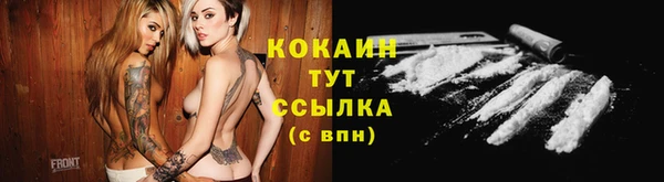 индика Богородск