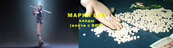 индика Богородск