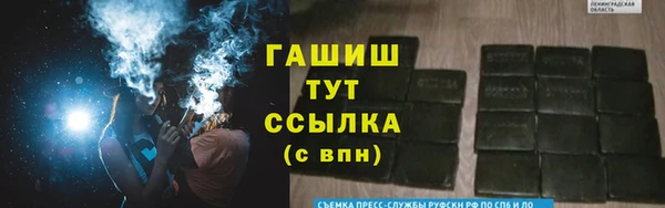 эйфоретик Богданович