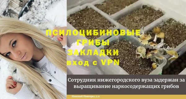 ешки Богородицк