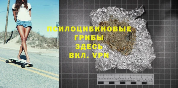 индика Богородск