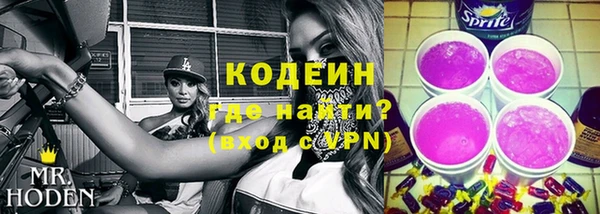 индика Богородск