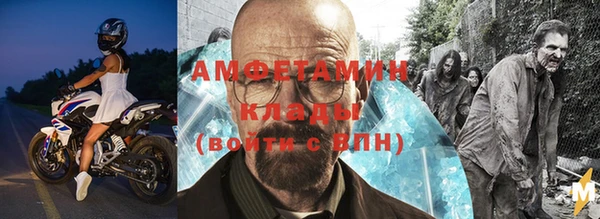 индика Богородск