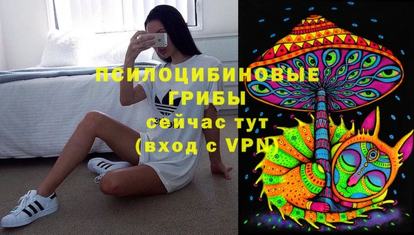 индика Богородск