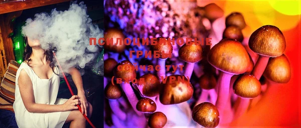 ешки Богородицк