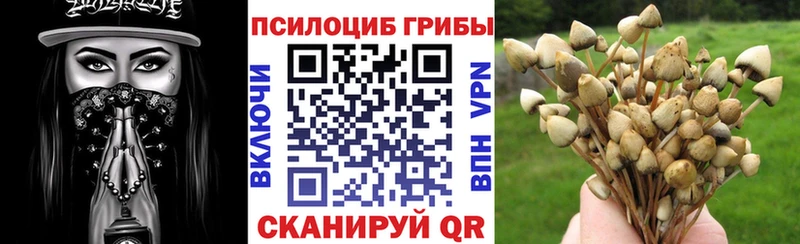 Псилоцибиновые грибы Psilocybe Юрюзань